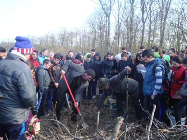 dsc05793.jpg