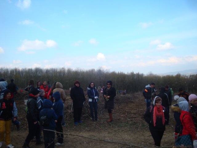 dsc05870.jpg