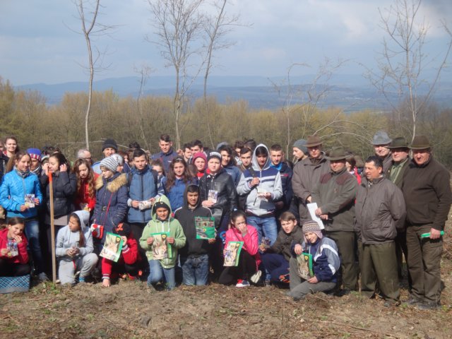 dsc05885.jpg