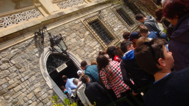 dsc08384.jpg