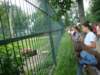 dsc09261_small.jpg
