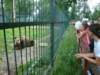 dsc09263_small.jpg