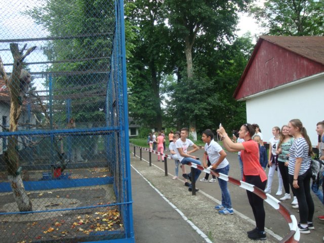 dsc09269.jpg