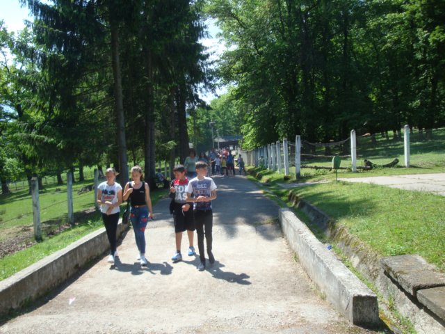 dsc09320.jpg